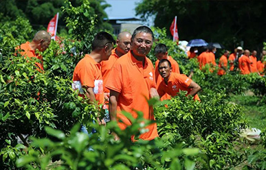 震驚：50元買一只紅蜘蛛？!——這一次，果農(nóng)們有話要說